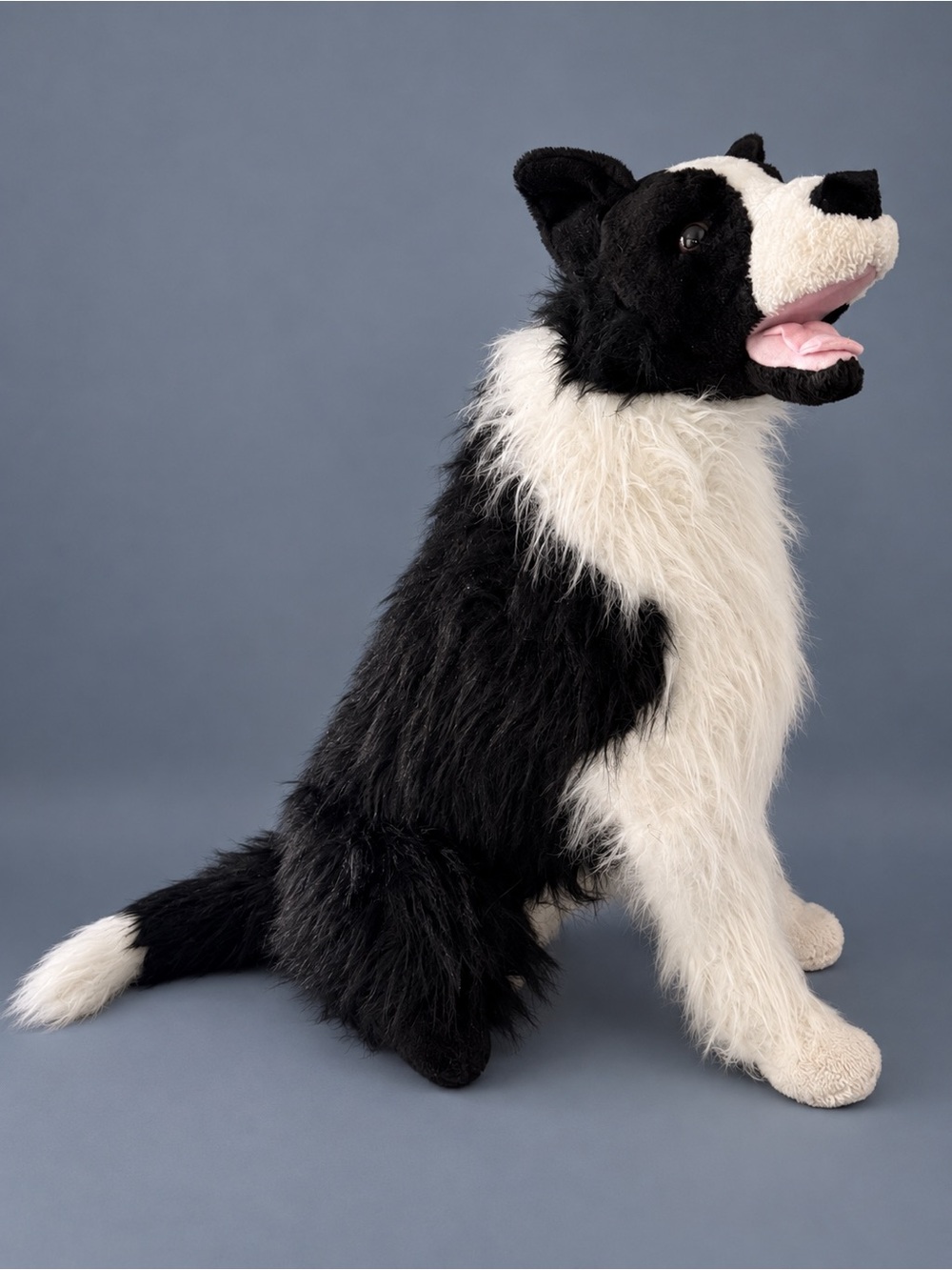 Life size border collie stuffed animal. Black & white. Pet memorial or kids toy
